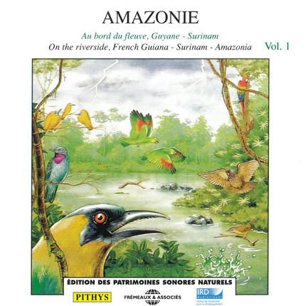 Amazonie/Amazonia Vol. 1 - Pierre Huguet, Olivier Tostain - IRD Éditions