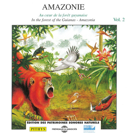 Amazonie/Amazonia Vol. 2 - Pierre Huguet, Olivier Tostain - IRD Éditions