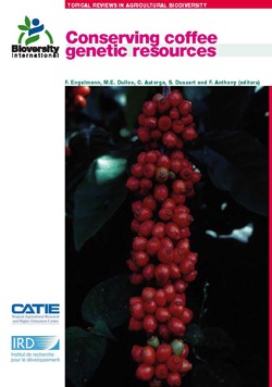 Conserving coffee genetic resources -  - IRD Éditions